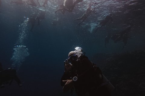 Divemaster