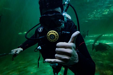 Rescue Diver