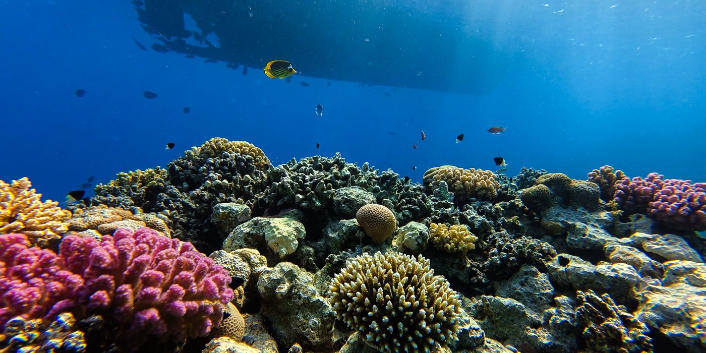 Red Sea water temperature, month by month