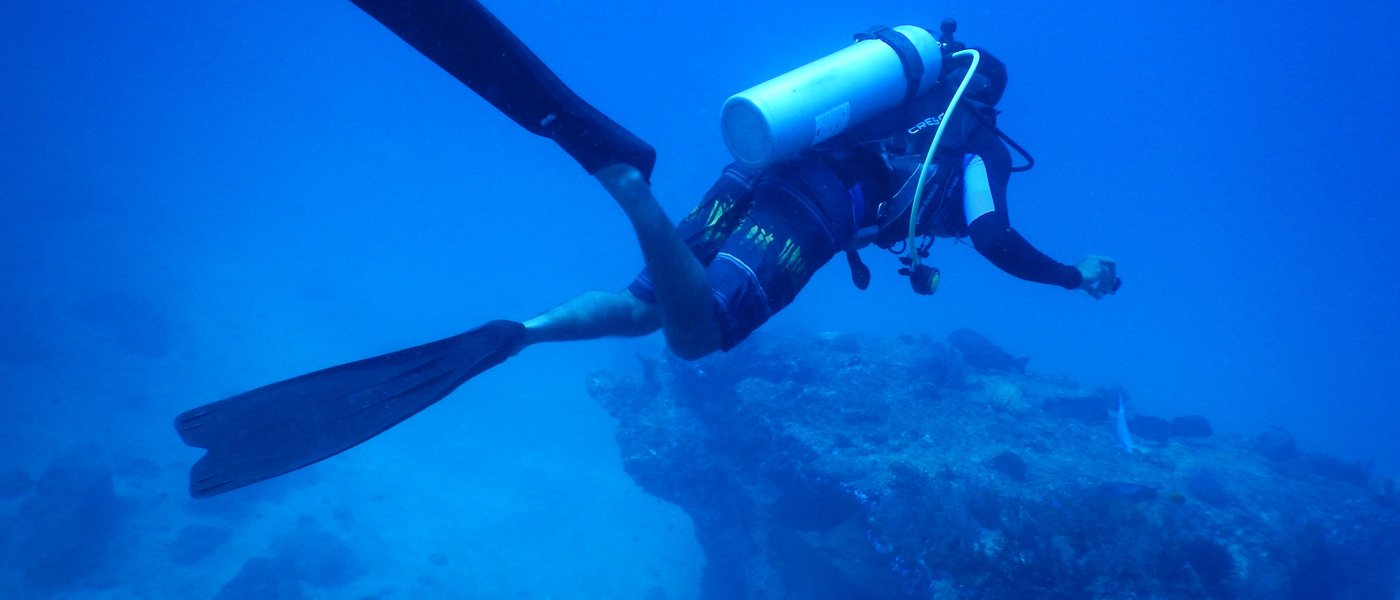 Illustrative Red Sea diving photo — not taken at Torfa El Shahed