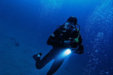 Night Diver