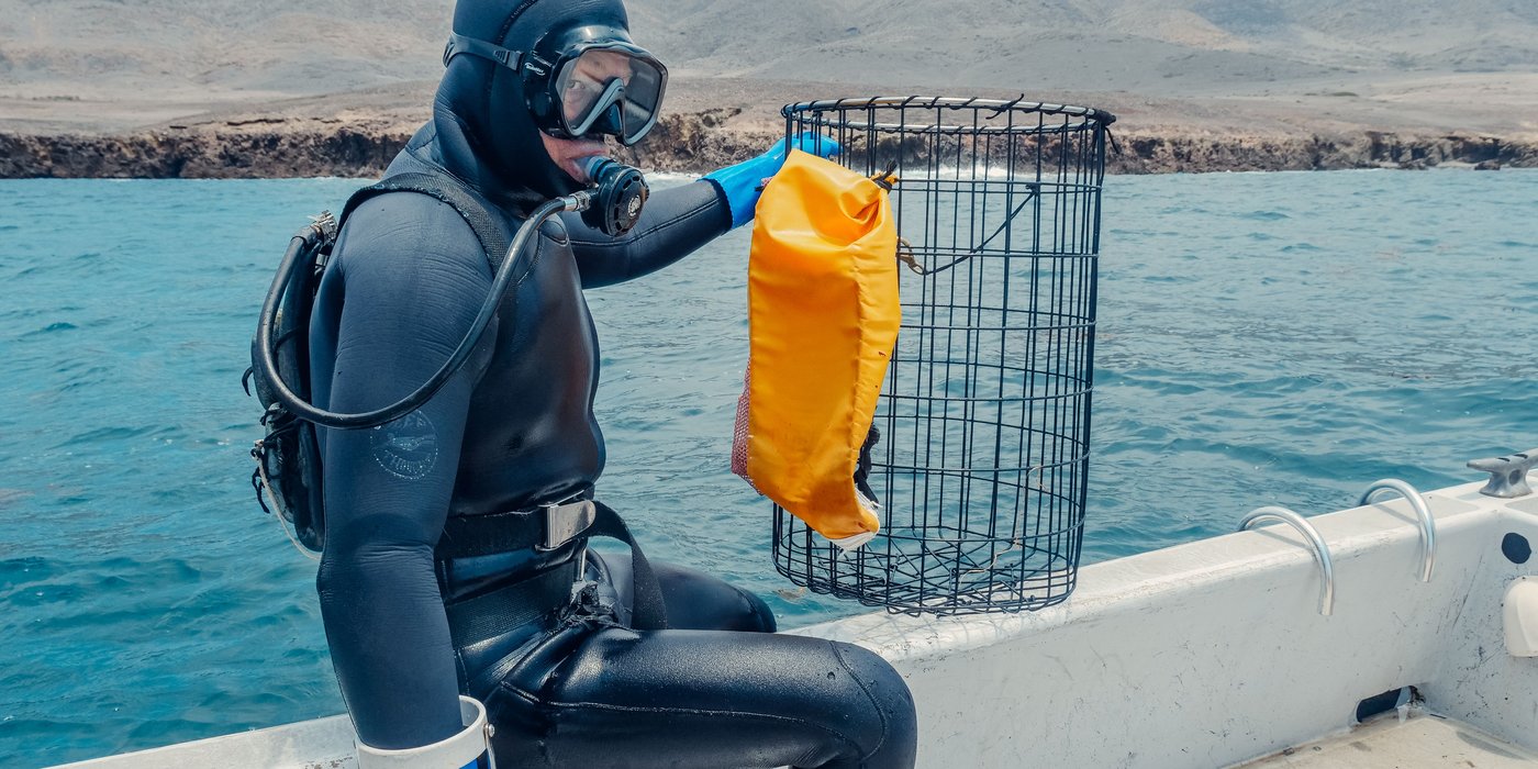 Search and Recovery Diver